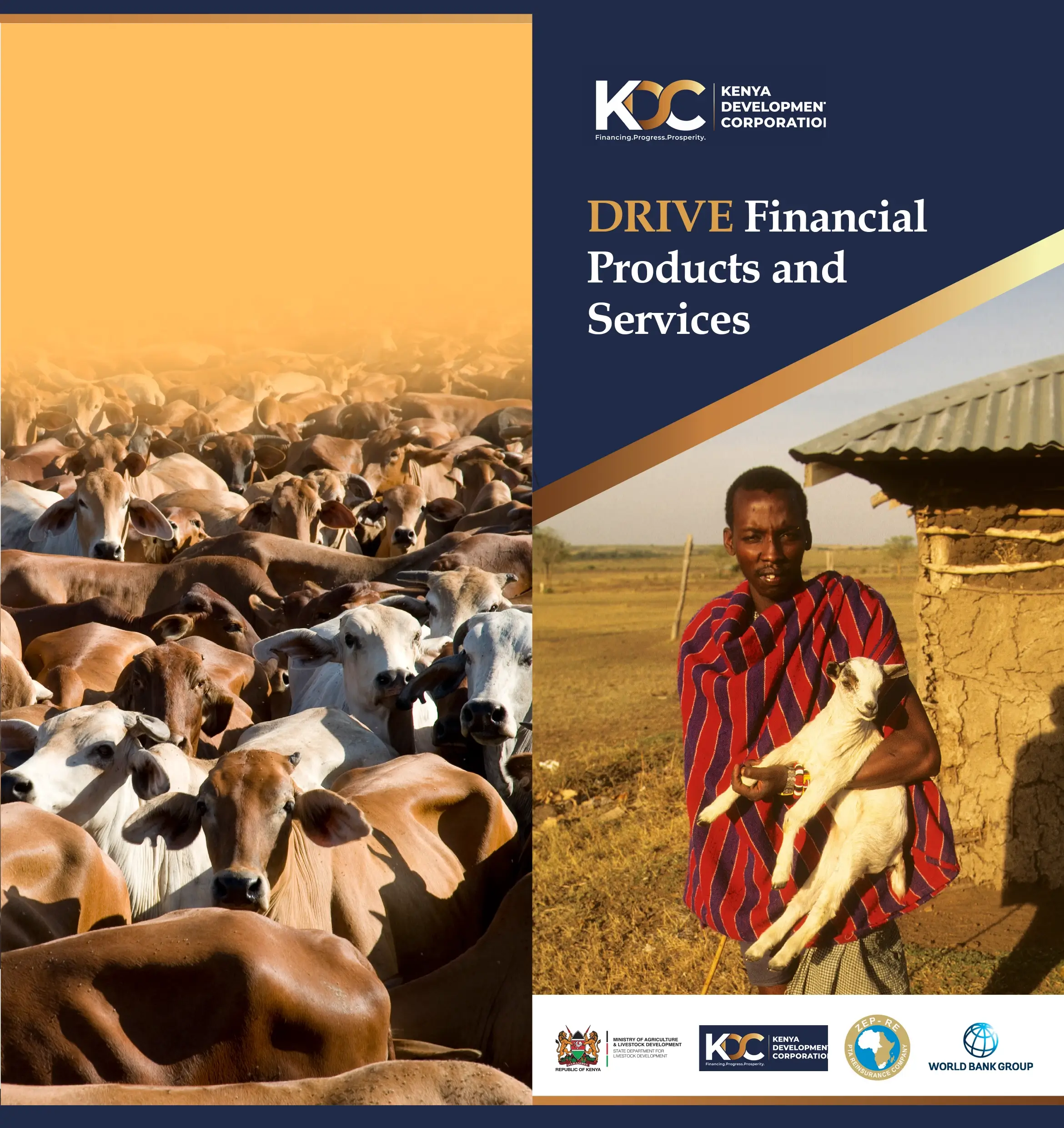 publication cover